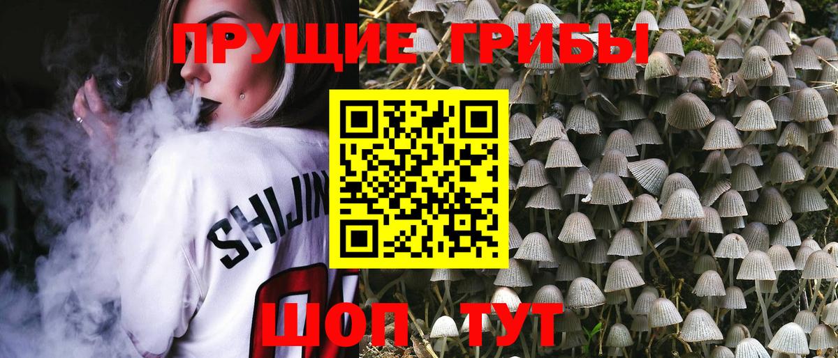 Псилоцибиновые грибы MAGIC MUSHROOMS Новокубанск