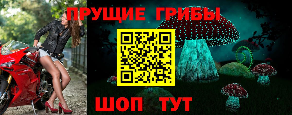 Новокубанск  Псилоцибиновые грибы MAGIC MUSHROOMS  Вход с VPN  Псилоцибиновые грибы GOLDEN TEACHER 